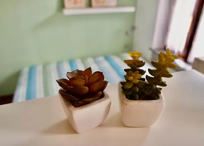 아파트 Dany's House 레코