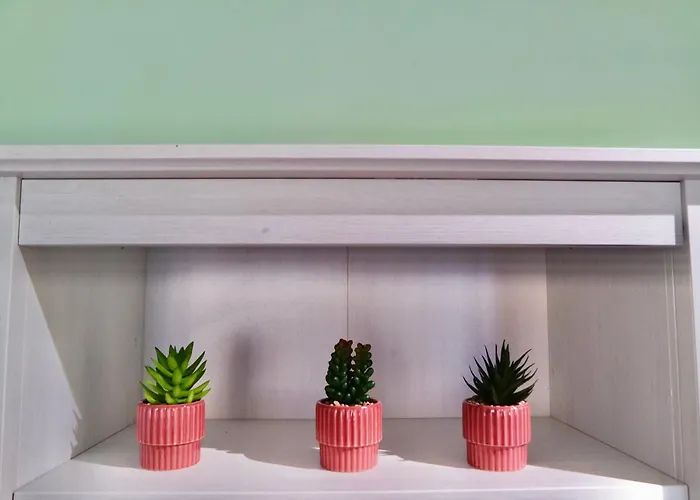 Dany's House Apartment