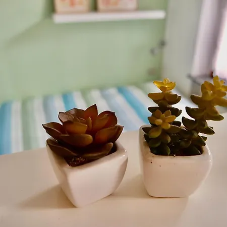 Apartament Dany's House Lecco